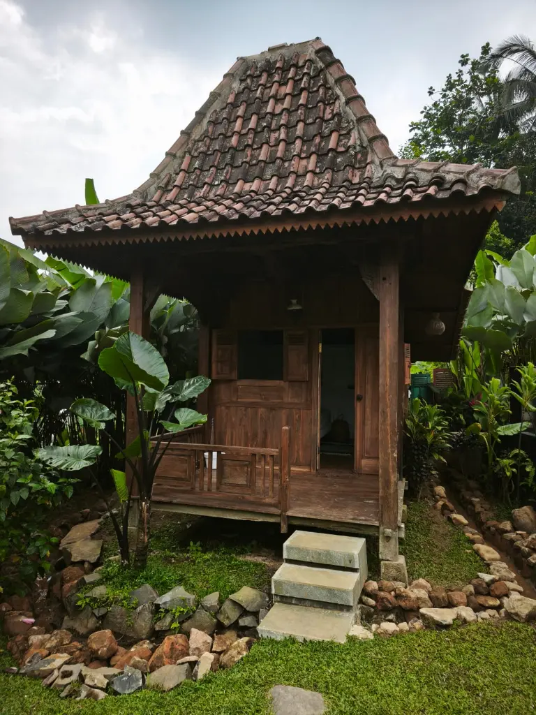 Outside.webp