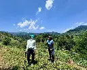 Hiking (per person/ half day/ min. 10 guests)