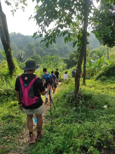 Hiking (per person/ one day/ min. 5 guests)