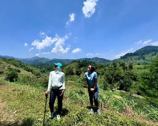 Hiking (per person/ half day/ min. 10 guests)